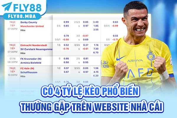 Có 4 tỷ lệ kèo phổ biến thường gặp trên website nhà cái